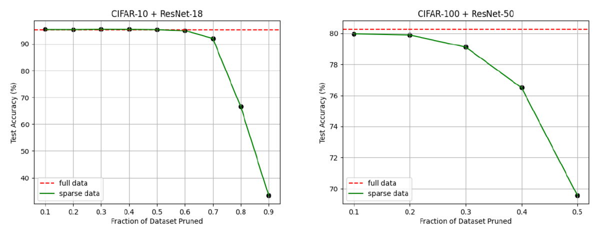 classification-bias-data-diet.png